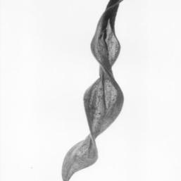 Lyrics 3