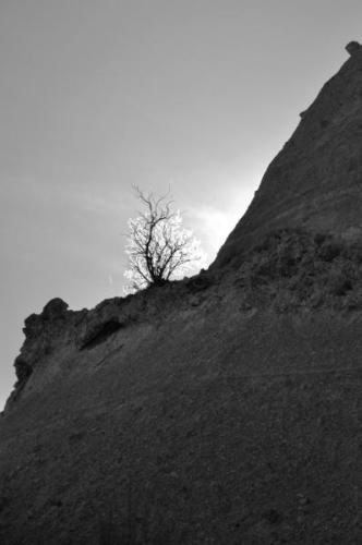 DSC_6684_sw1