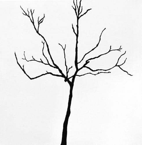 one tree